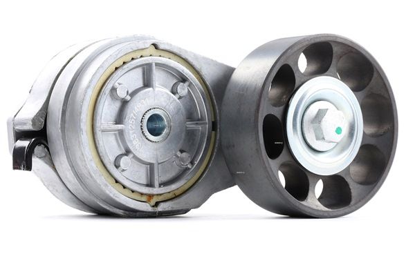 Récuperer RIDEX Poulie-tendeur, courroie trapézoïdale à nervures 310T0133 pour auto à un taux avantageux 18,07 &euro;