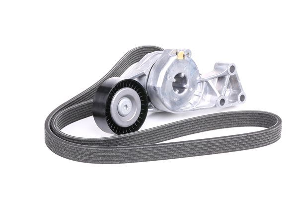 SKF Keilrippenriemensatz VKMA 31204 SKF Keilrippenriemen VKMA 31204 - 51,80 €