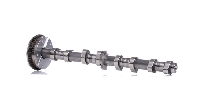 Récuperer Borsehung Arbre à came B18979 pour auto à un taux avantageux 196,63 &euro;
