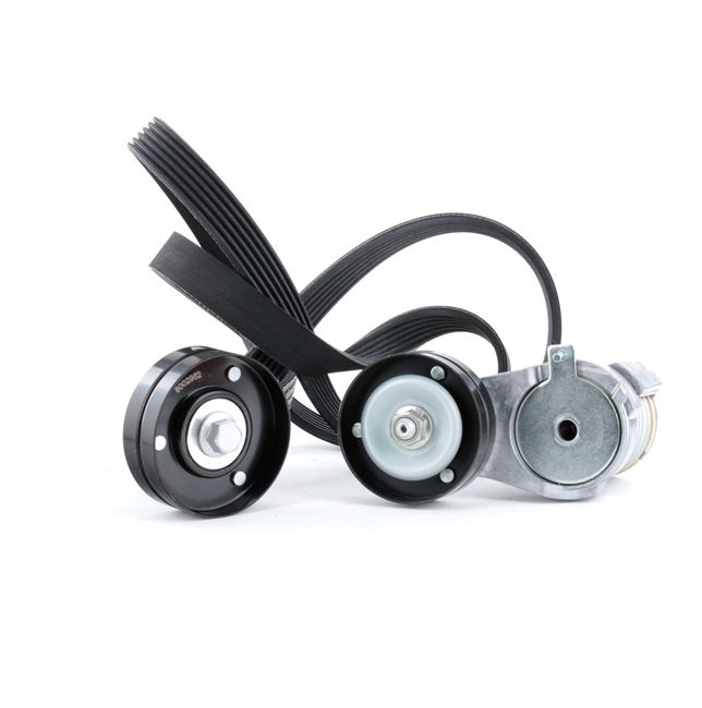 STARK Poly V-riem set SKRBS-1200106 STARK Multiriem Set SKRBS-1200106 - 55,29 €
