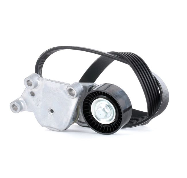 STARK Poly V-riem set SKRBS-1200113 STARK Multiriem Set SKRBS-1200113 - 42,36 €