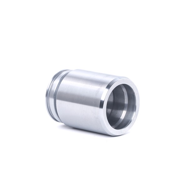 Piston, étrier de frein 2248P0055 RENAULT MEGANE II Break (KM0/1_) 1.6 16V Hi-Flex De 02.2008, 105 CH
