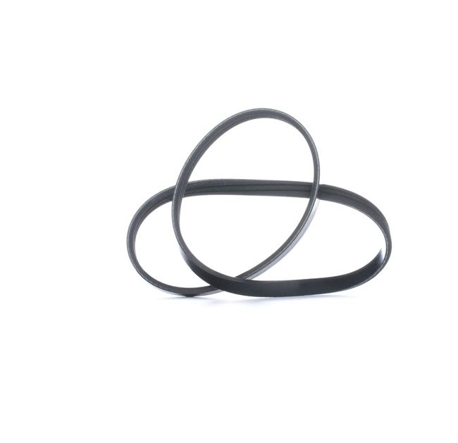 FEBI BILSTEIN Keilrippenriemen 28746 für RENAULT