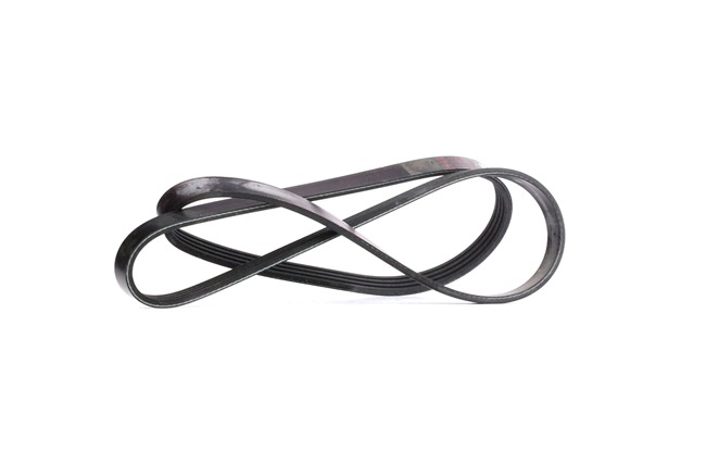 FEBI BILSTEIN Poly V-riem 28810 FEBI BILSTEIN Poly v riem 28810 - 6,61 €