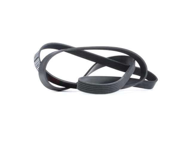 FEBI BILSTEIN Poly V-riem 28986 FEBI BILSTEIN Poly v riem 28986 - 9,85 €