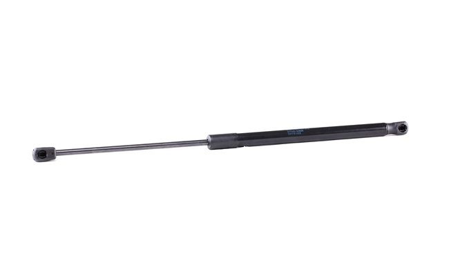 FEBI BILSTEIN Gasveer, kofferruimte 31657 FEBI BILSTEIN Kofferbakveer 31657 - 17,04 €