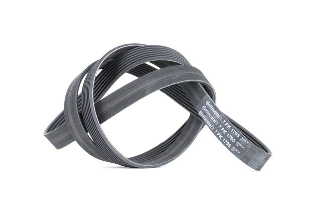 CONTITECH Keilrippenriemen 6PK2433 | Ersatz Für Mercedes-Benz & Viele Andere Marken | Hochwertiger Zahnriemen