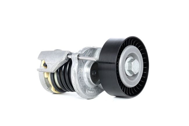 Tensioner Lever, v-ribbed belt - INA (534 0164 10) buy cheap online