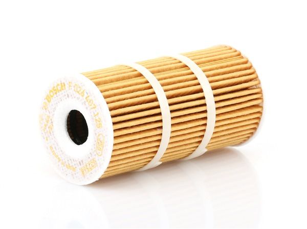BOSCH Olejový filter F 026 407 125 Opel Vivaro Van 2015 BOSCH Olejový filter F 026 407 125