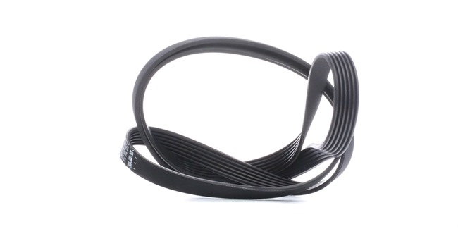 FEBI BILSTEIN V-Ribbed Belts 37538 FEBI BILSTEIN V Ribbed Belt 37538 - £ 10,67