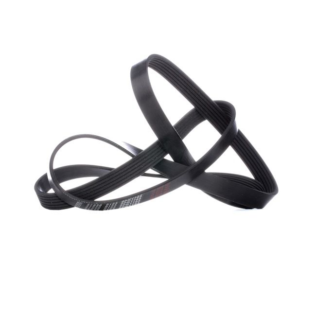 FEBI BILSTEIN V-Ribbed Belts 37536 FEBI BILSTEIN Poly V serpentine belt 37536 - £ 8,27