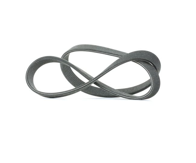 Compre DAYCO Correia trapezoidal estriada 6DPK1195 para carro a baixo preço 13,74 &euro;