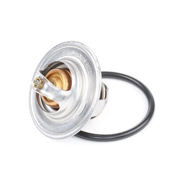 Calorstat TH6276.87J Thermostat deau