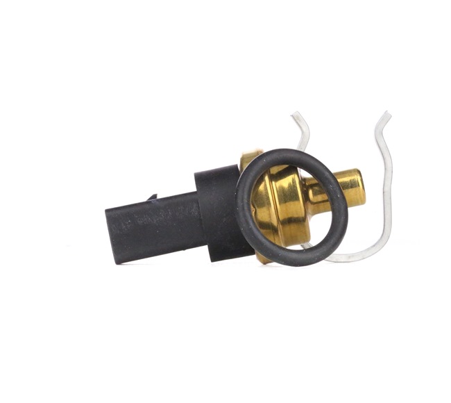Sensore di Temperatura Cilindro Evinrude Jo | Nautica Basile