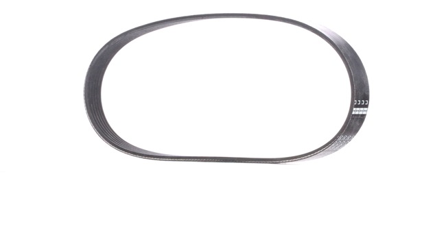 FEBI BILSTEIN V-Ribbed Belts 39800 FEBI BILSTEIN Serpentine belt 39800 - £ 6,10