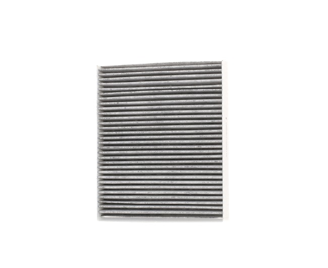 STARK Interieurfilter SKIF-0170005 STARK Pollenfilter SKIF-0170005 - 25,81 €