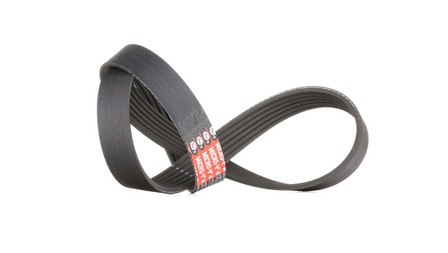 GATES Poly V-riem 6PK893 GATES Poly V-riem 6PK893 Voor Express Van / Station wagon 1997