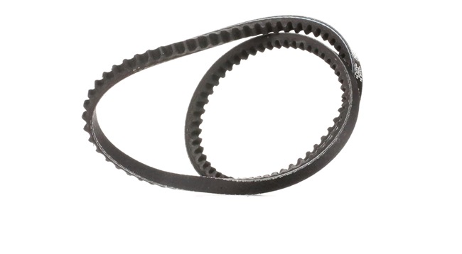 Ķīļsiksna - GATES (853216214) pirkt lēti interneta