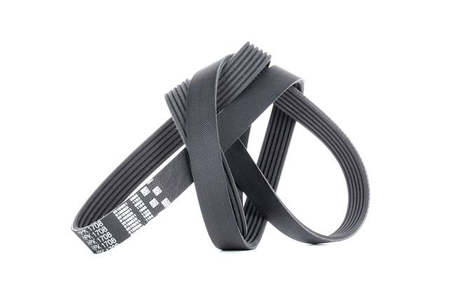 GATES Correia trapezoidal estriada 6PK1708 Citroen Xantia X1 1995 GATES Correia trapezoidal estriada 6PK1708