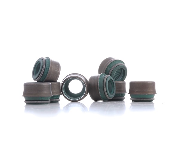 PAYEN Dichtungssatz, Ventilschaft HR569 PAYEN Dichtungssatz, Ventilschaft HR569 - Original Teile günstig kaufen