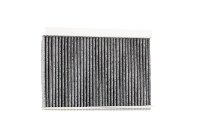RIDEX Filter, interior air 424I0020 RIDEX Air conditioner filter 424I0020 - £ 7,76
