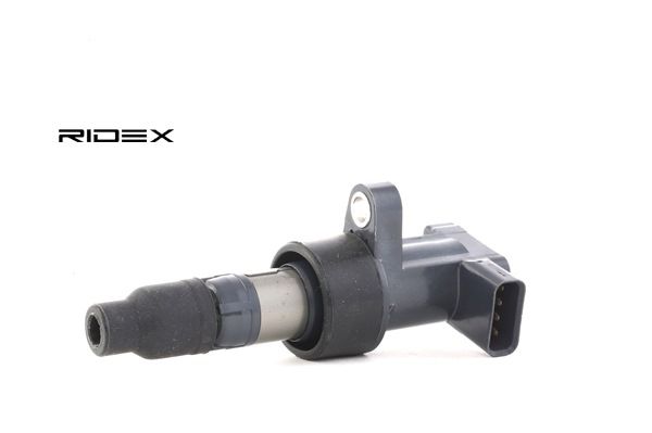 RIDEX Zündspule 689C0055 RIDEX Zündspuleneinheit 689C0055 - 27,17 €