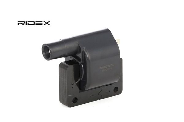 Bobina de ignição - RIDEX (689C0108) compra económica online