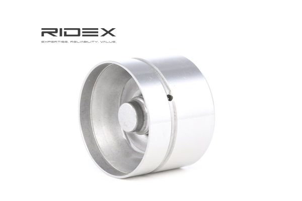 RIDEX Bīdītājs 1216R0049 RIDEX Bīdītājs 1216R0049 priekš E Klase Platforma / Šasija (VF210) 2002