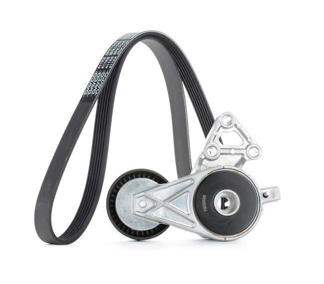 STARK Poly V-riem set SKRBS-1200044 STARK Poly v riem set SKRBS-1200044 - 39,93 €