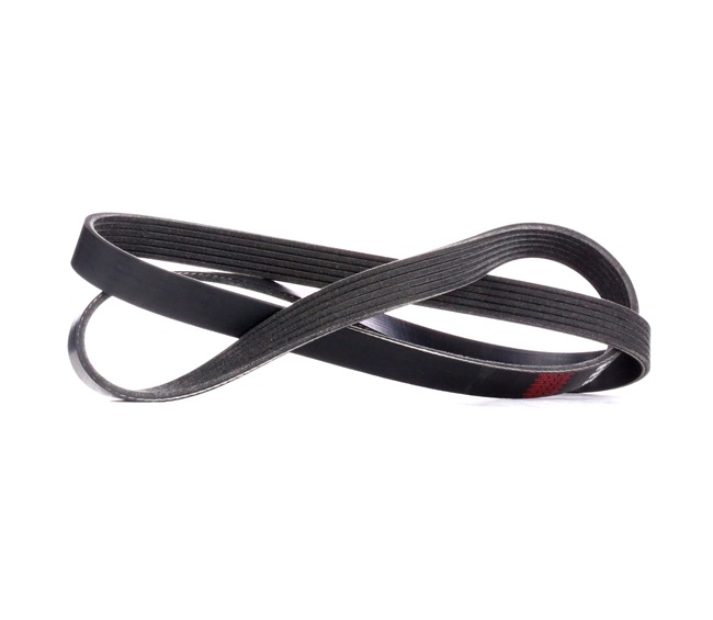 RIDEX Correa trapecial poli V 305P0177 Mitsubishi Pajero Sport K90 2008 RIDEX Correa trapecial poli V 305P0177
