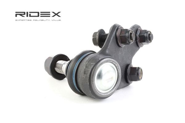 RIDEX Trag- / Führungsgelenk 2462S0131 RIDEX Achsgelenk 2462S0131 - 9,29 €