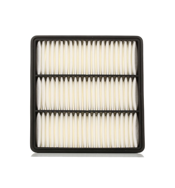 MANN-FILTER Filtro aria C 2136/1 MANN-FILTER Filtro aria C 2136/1 per Pajero TR4 2014