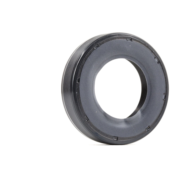 AUTOMEGA 190035310 Gaskets-image-9133649