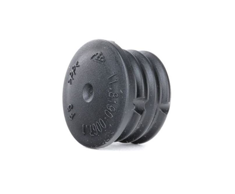 SWGAutomotive 50031916 Sealing- / Protection Plugs