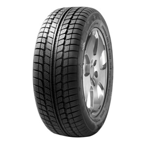 Fortuna 175 70 R14 95T Personbil, Let lastbil Winter FP320