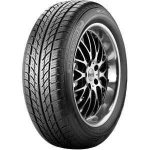 Riken 245 35 ZR18 92Y Coche de turismo MAYSTORM 2 B2 019217