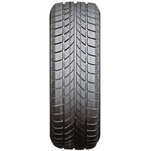 Horizon Dæk HW505 205 50 R17 93H 289525 Vinterdæk