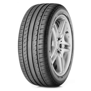 GT Radial Fahrzeugreifen Champiro HPY 255 40 R17 98Y B026 Sommerreifen